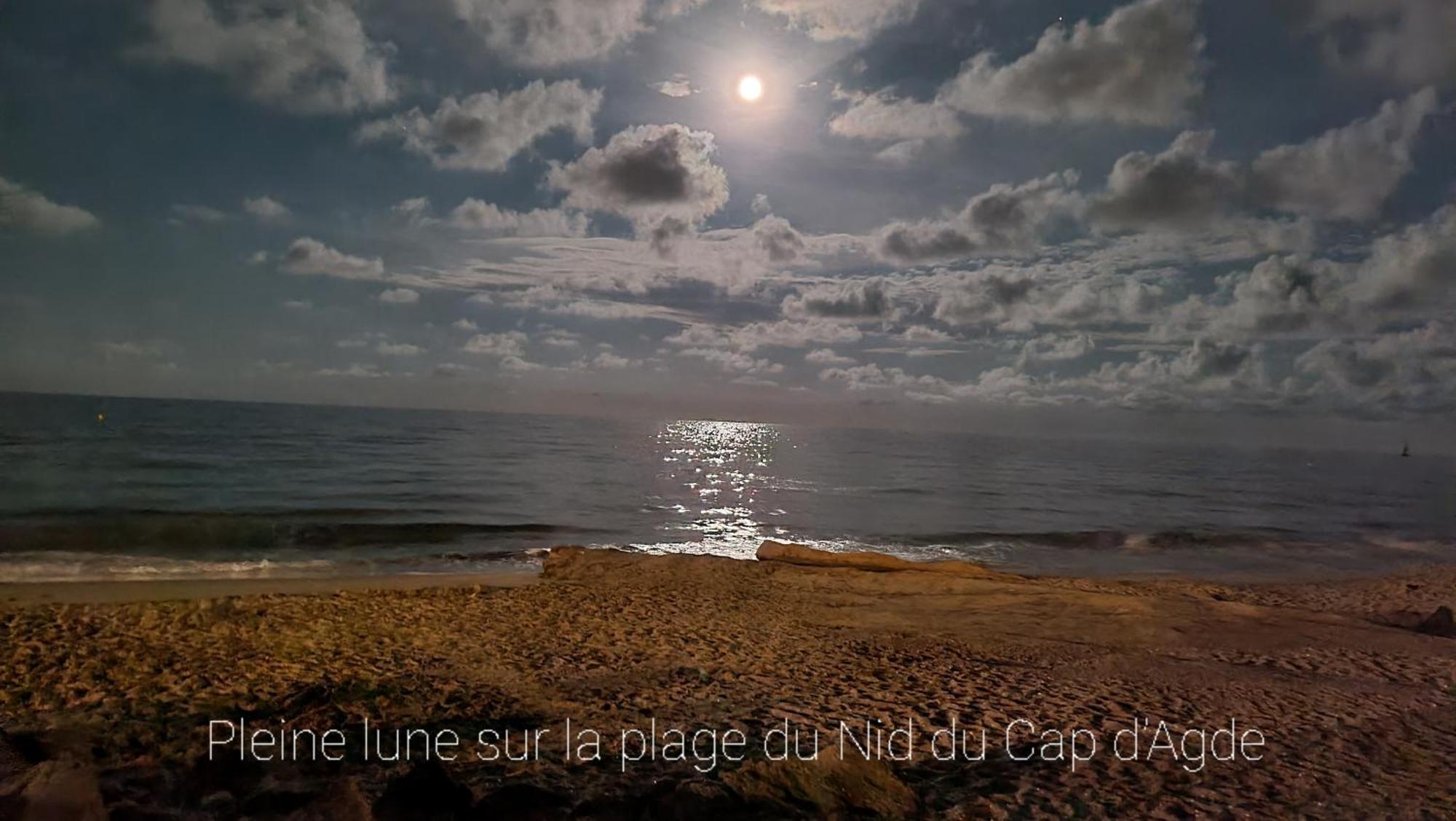 Residence De Standing La Pecherie Spacieux T3 Comme Un Cocon Familial Vue Mer Et Sur L'Avant Port Sur Le Bout Du Bout De Cap D'Agde Seule Cap En Occitanie Екстер'єр фото